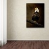 Trademark Fine Art Jai Johnson 'Portrait Of An Eagle' Canvas Art, 18x24 ALI13767-C1824GG